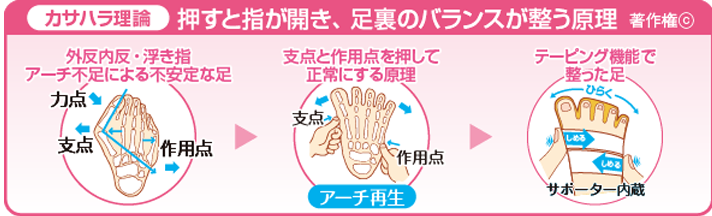 カサハラ理論